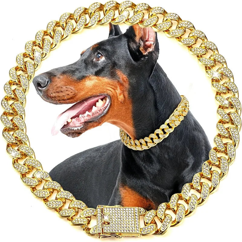 Luxurious Dog Chain Collar