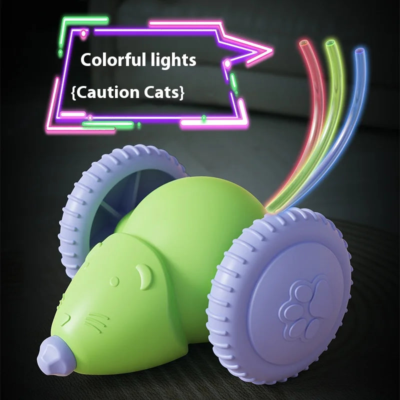 Electric Mouse Car