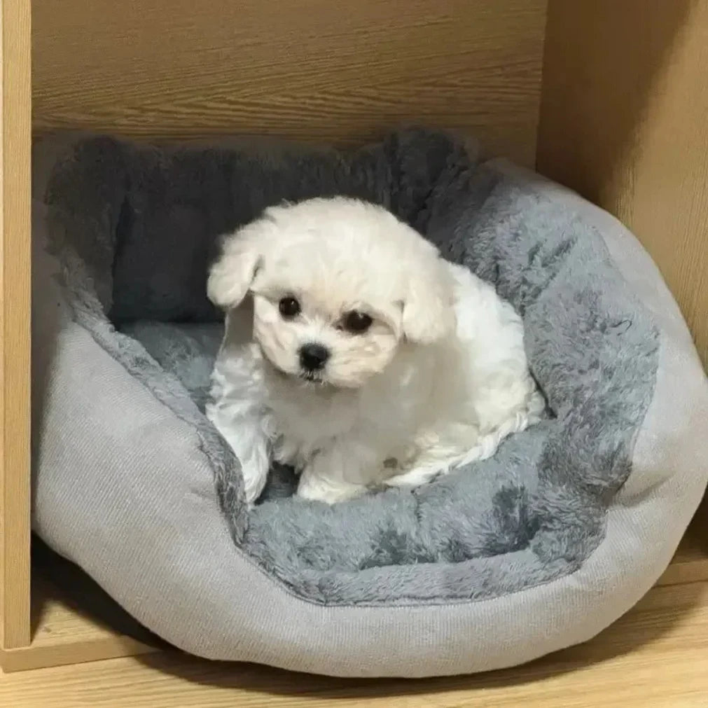 Soft Warm Bed