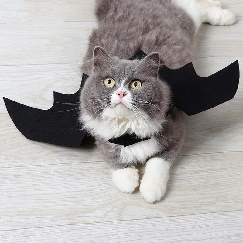 Halloween Black Bat Wings Harness