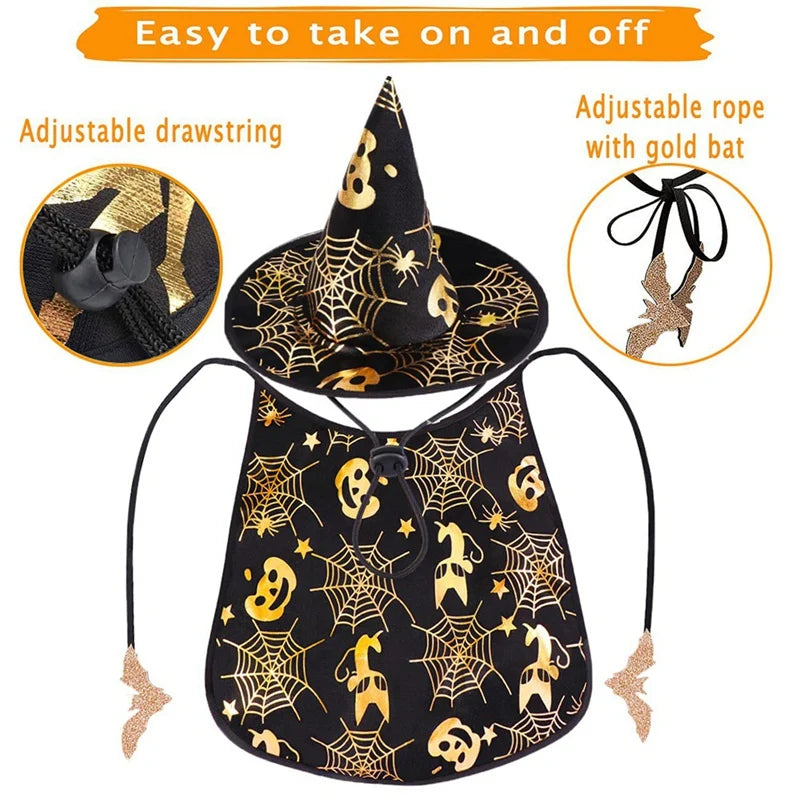 Halloween Costume, Cape And Hat Cool Outfit