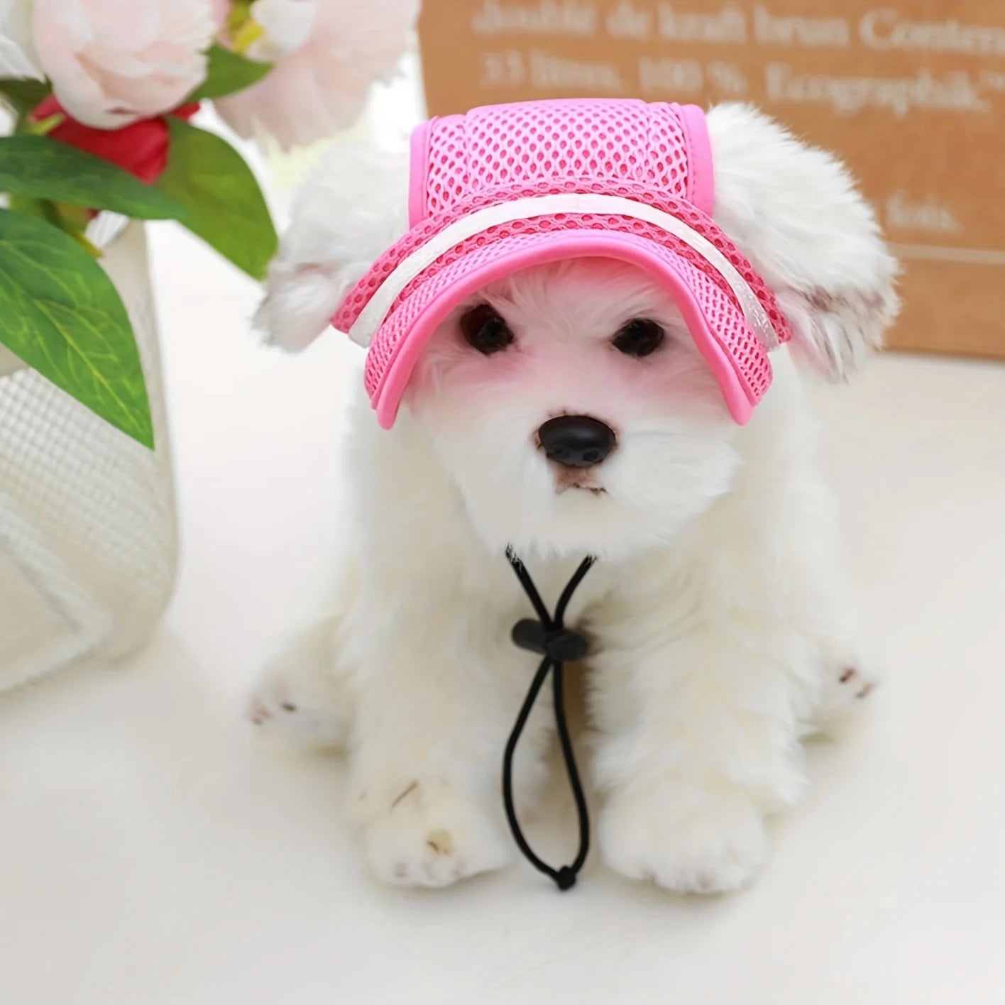 Sun-Protective Pet Hat