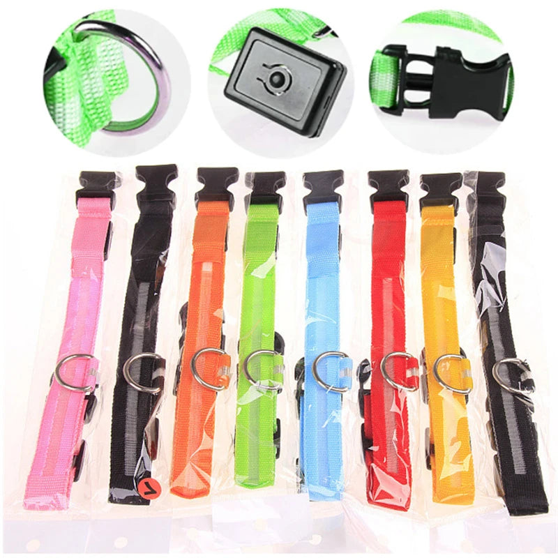 Luminous Collar