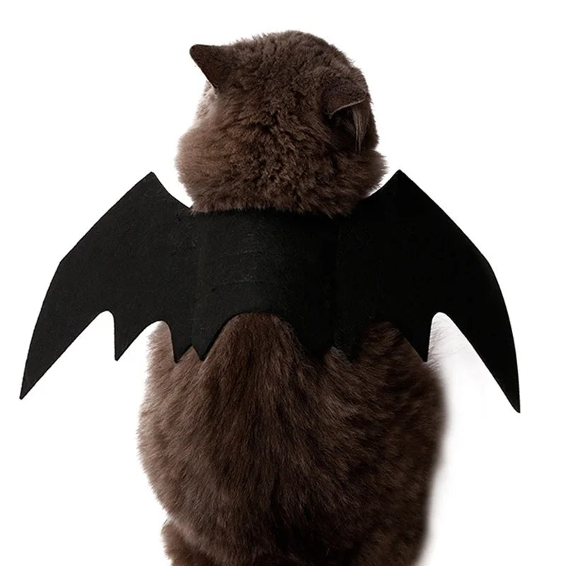 Black Bat Wings Harness, Halloween Costume Cosplay