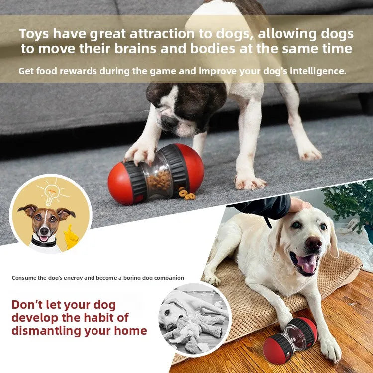 Treat Dispensing Toy