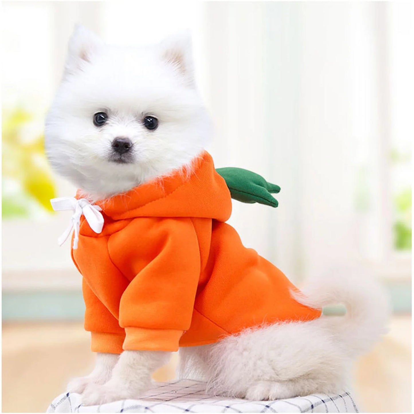 Carrot  Frog Hoodie