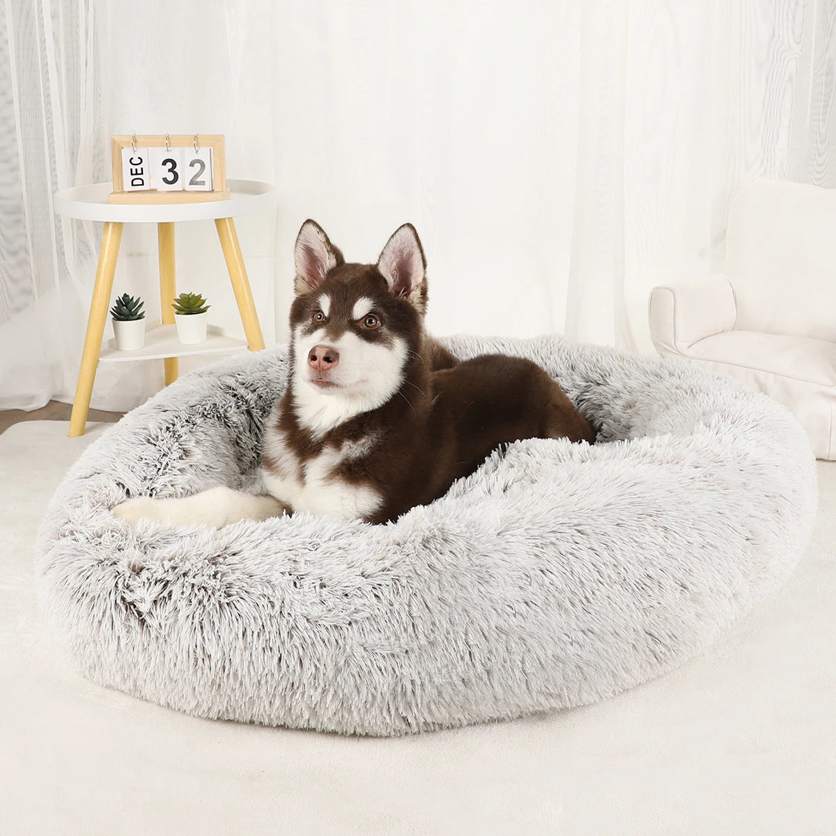 Large Round Donut Bed