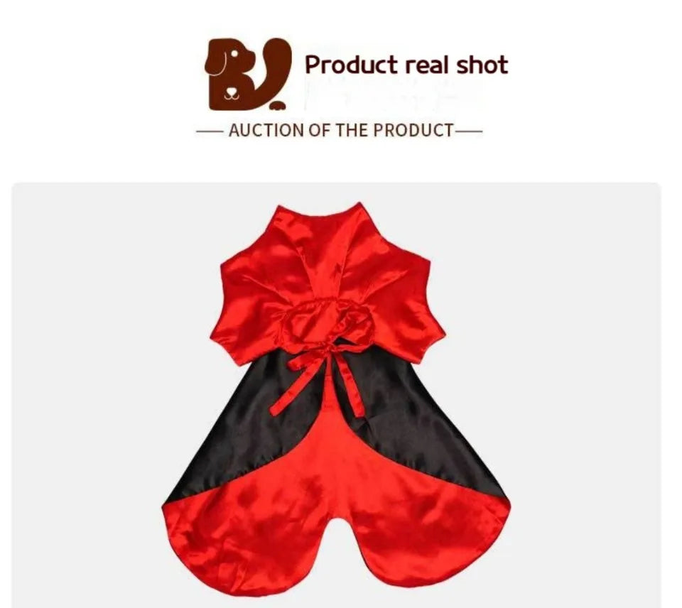 Halloween Vampire Costumes Couture