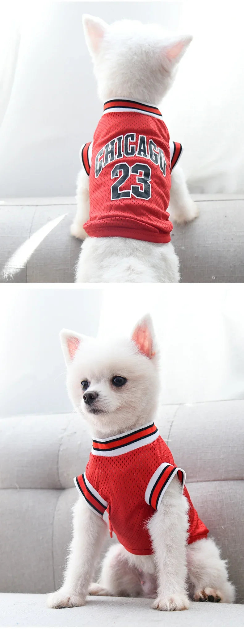 Puppy Breathable Jersey
