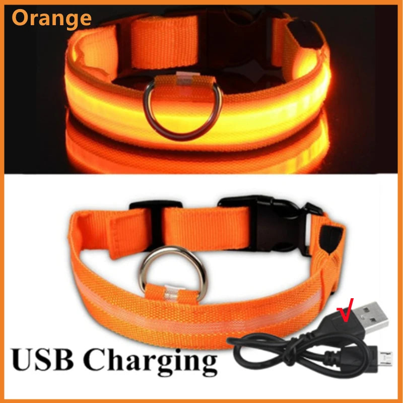 Luminous Collar