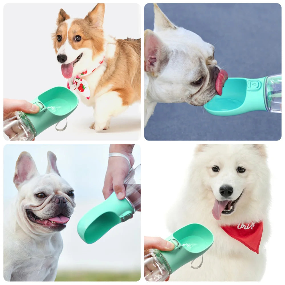 Outdoor Water Bottle For Cats & Dogs