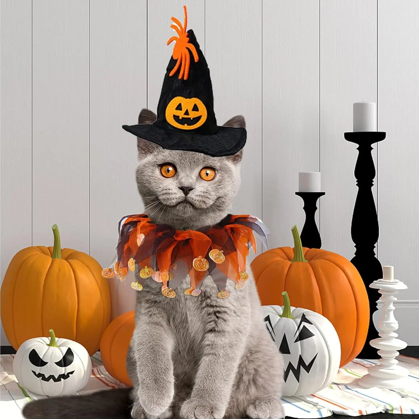 Halloween Pet Costume Set with Adjustable Elastic Hat Collar - Pumpkin Style