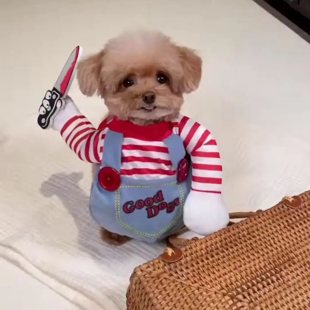 Halloween Cosplay Costume Dog Dress for Small & Medium Dogs