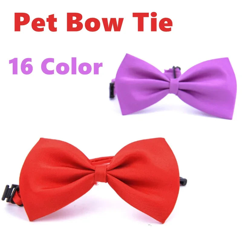 Pet Necklace Adjustable Strap