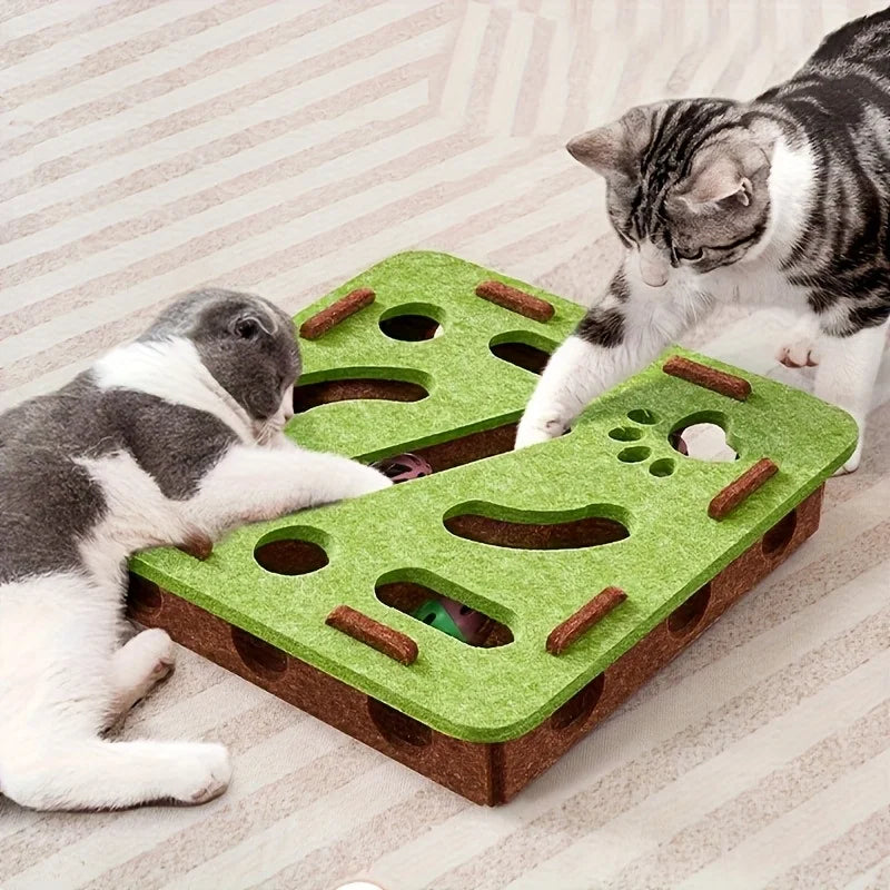 Cat Fun Box
