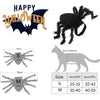 Halloween Pet Spider