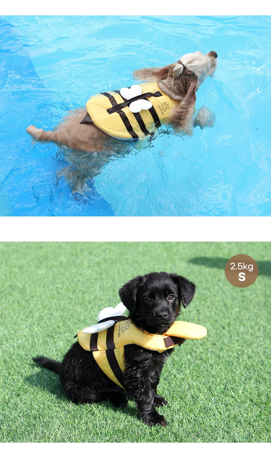 Little Bee Dog Swimsuit