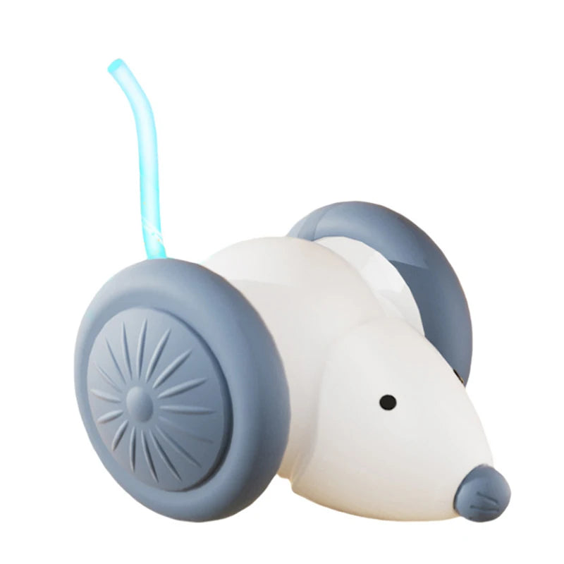 Electric Mouse Car