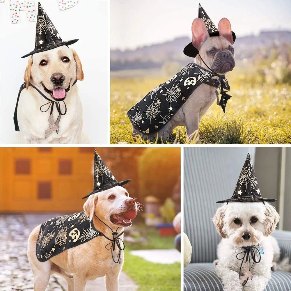 Cool Pumpkin Pet Halloween Costumes Cape