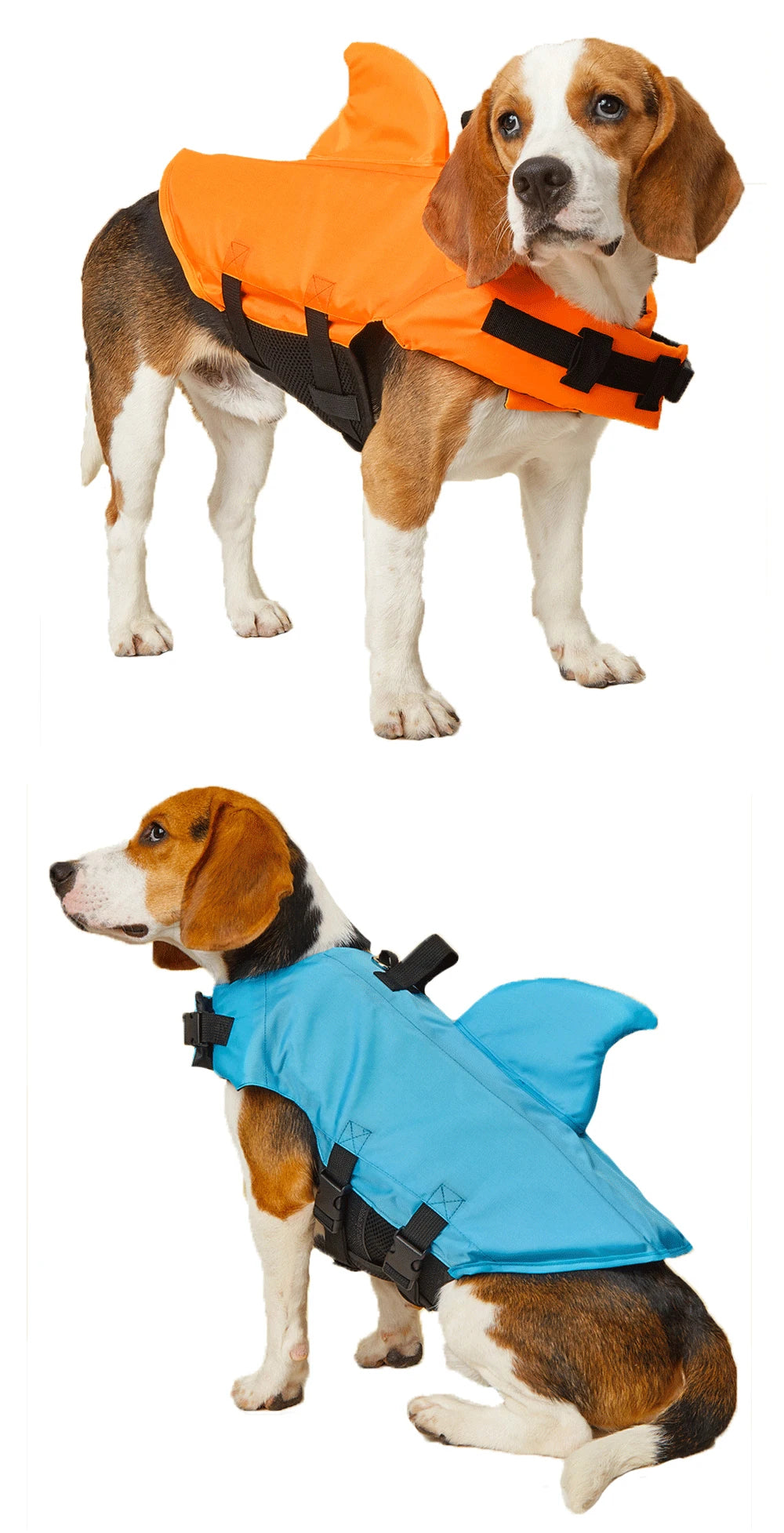 Shark Dog, Life Jacket