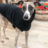 Winter Fleece Italian Greyhound Vest
