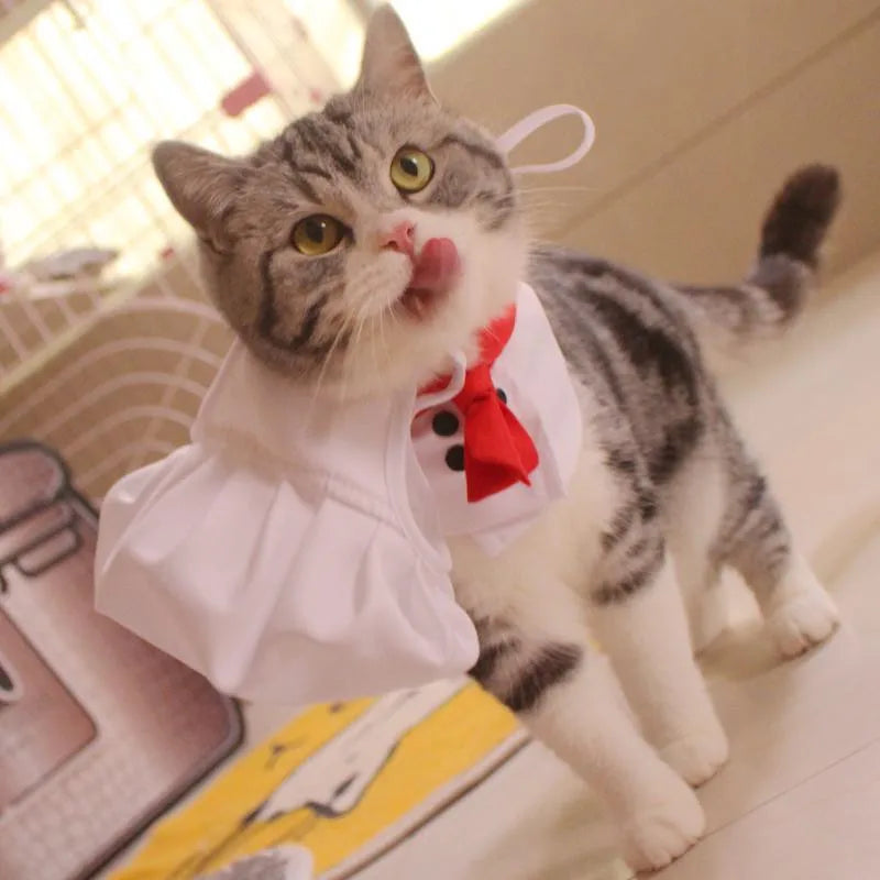 Halloween Cosplay Costumes Funny Chef Suit