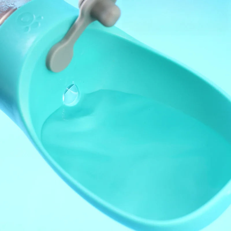 Portable Water Bottle