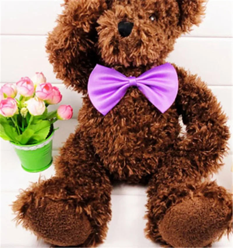 Pet Necklace Adjustable Strap