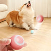 Smart Puppy Ball Toy