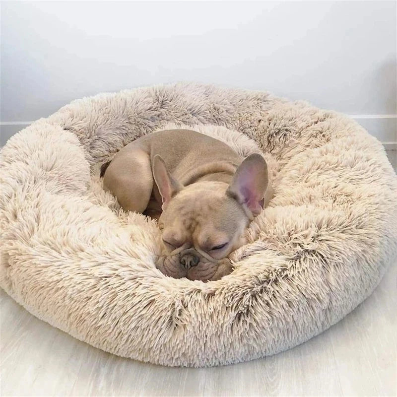 Super Soft Plush Bed