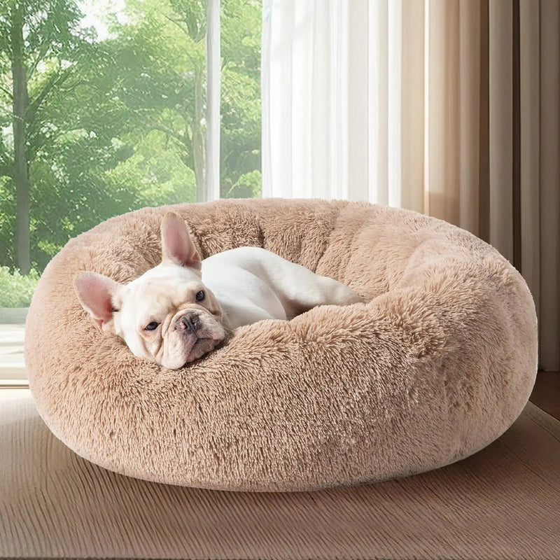 Calming Dog Bed