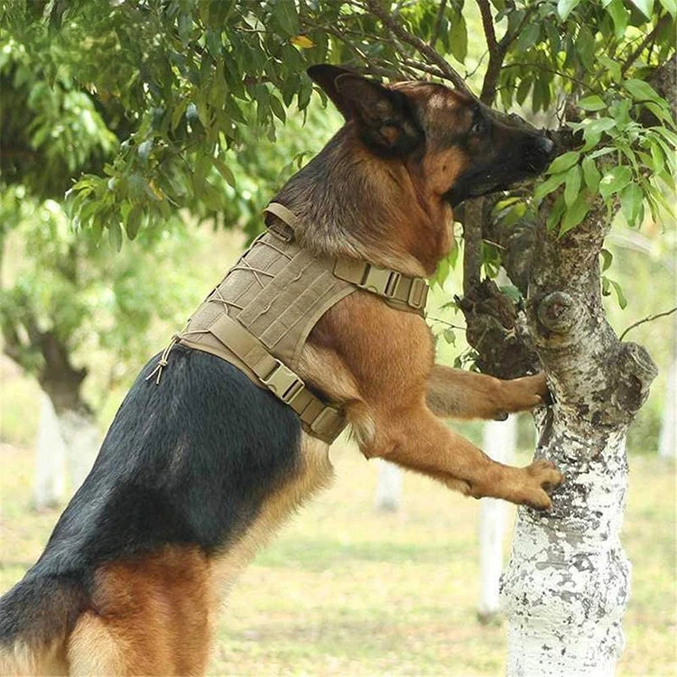 Tactical Dog Harness Military Training K9 Padded