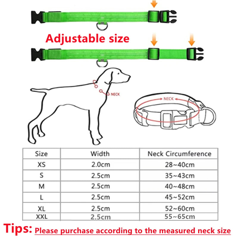 Luminous Collar