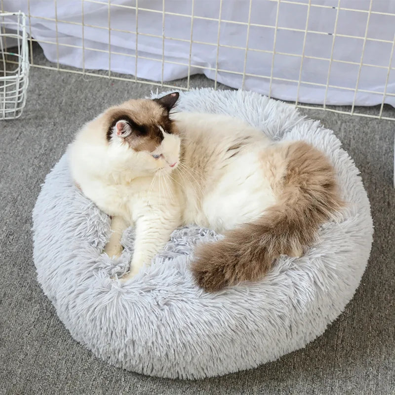 Super Soft Plush Bed