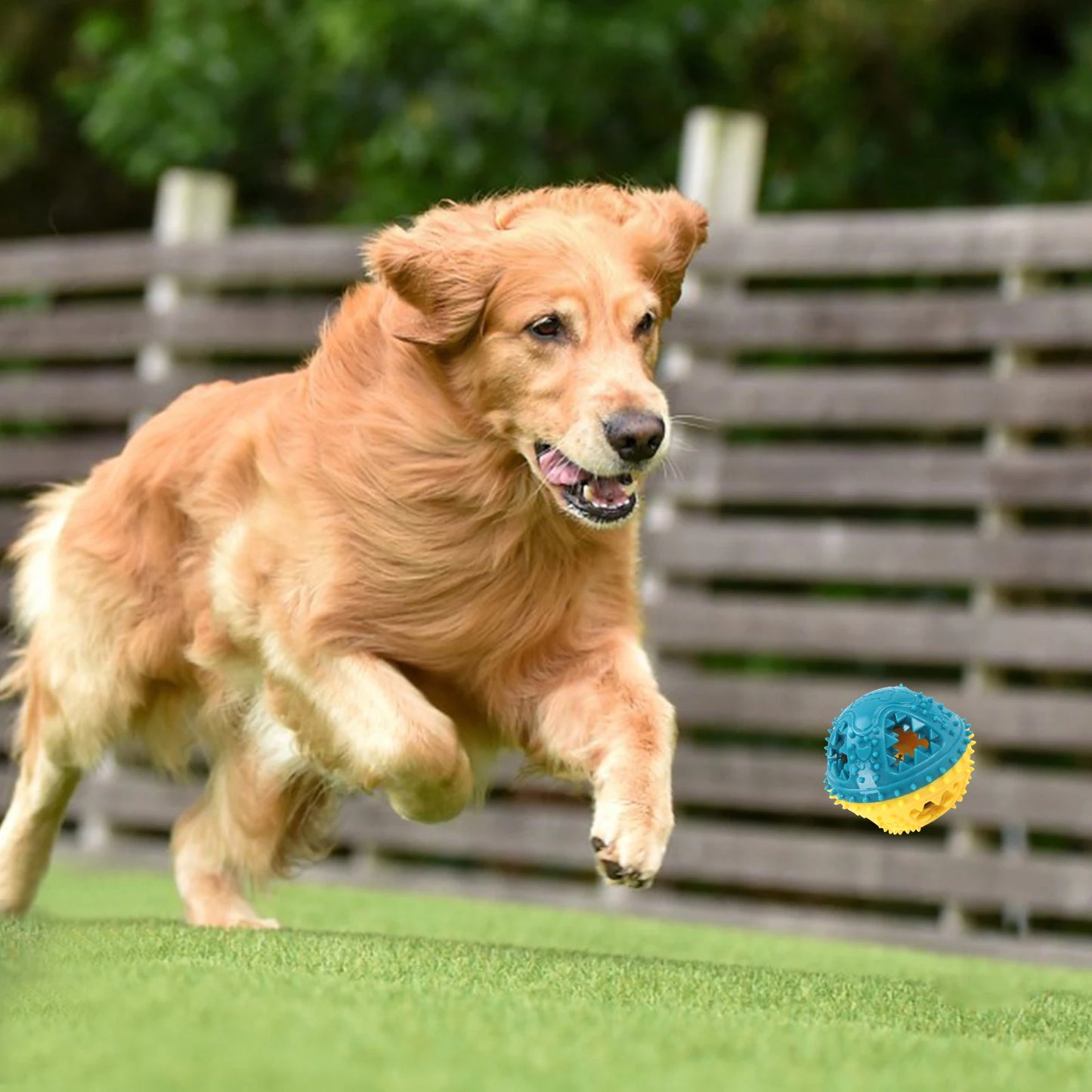 Chew Toys Grinding Teeth Sound Ball