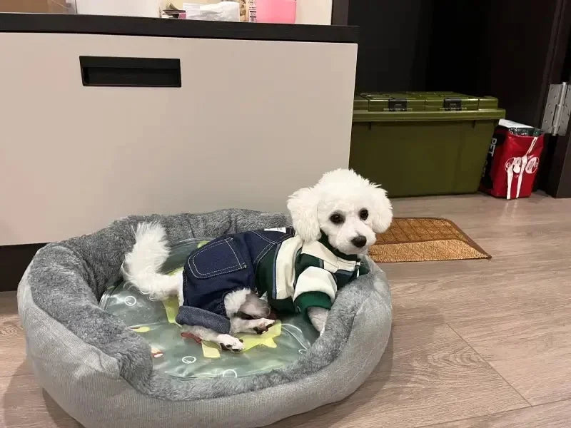 Soft Warm Bed