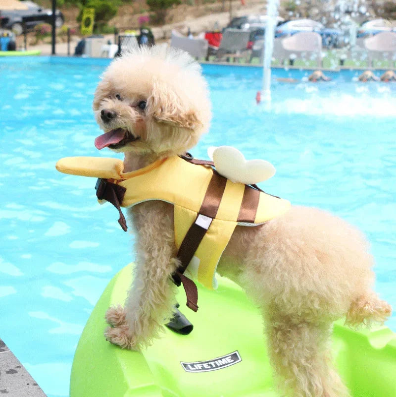 Little Bee Dog Swimsuit