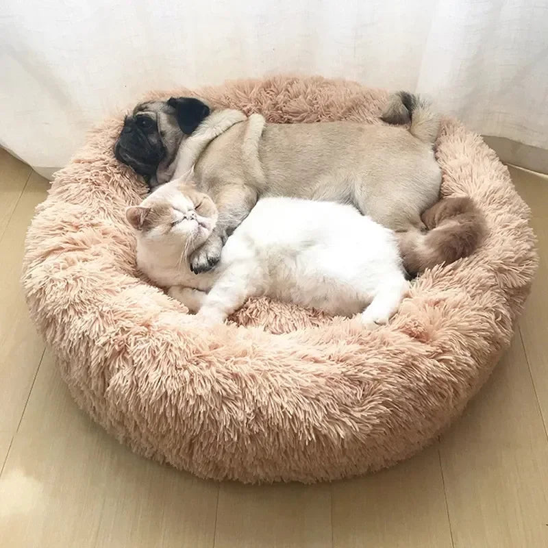 Super Soft Plush Bed