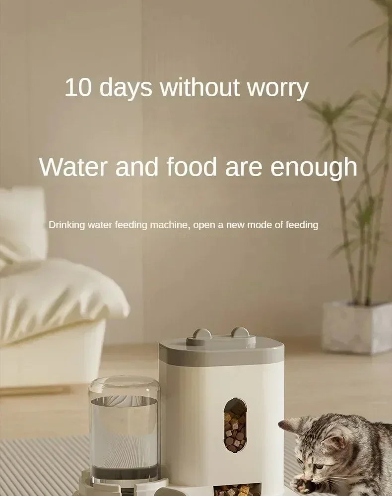 Automatic Feeder Bowl & Water Fountain