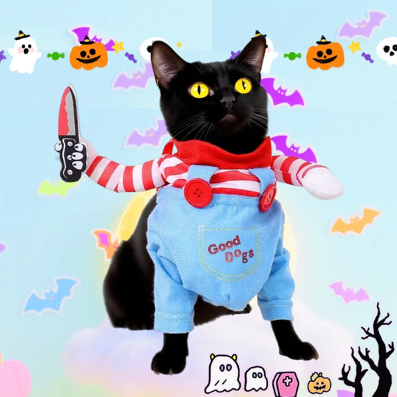 Halloween Cat Costume Funny Dress Up