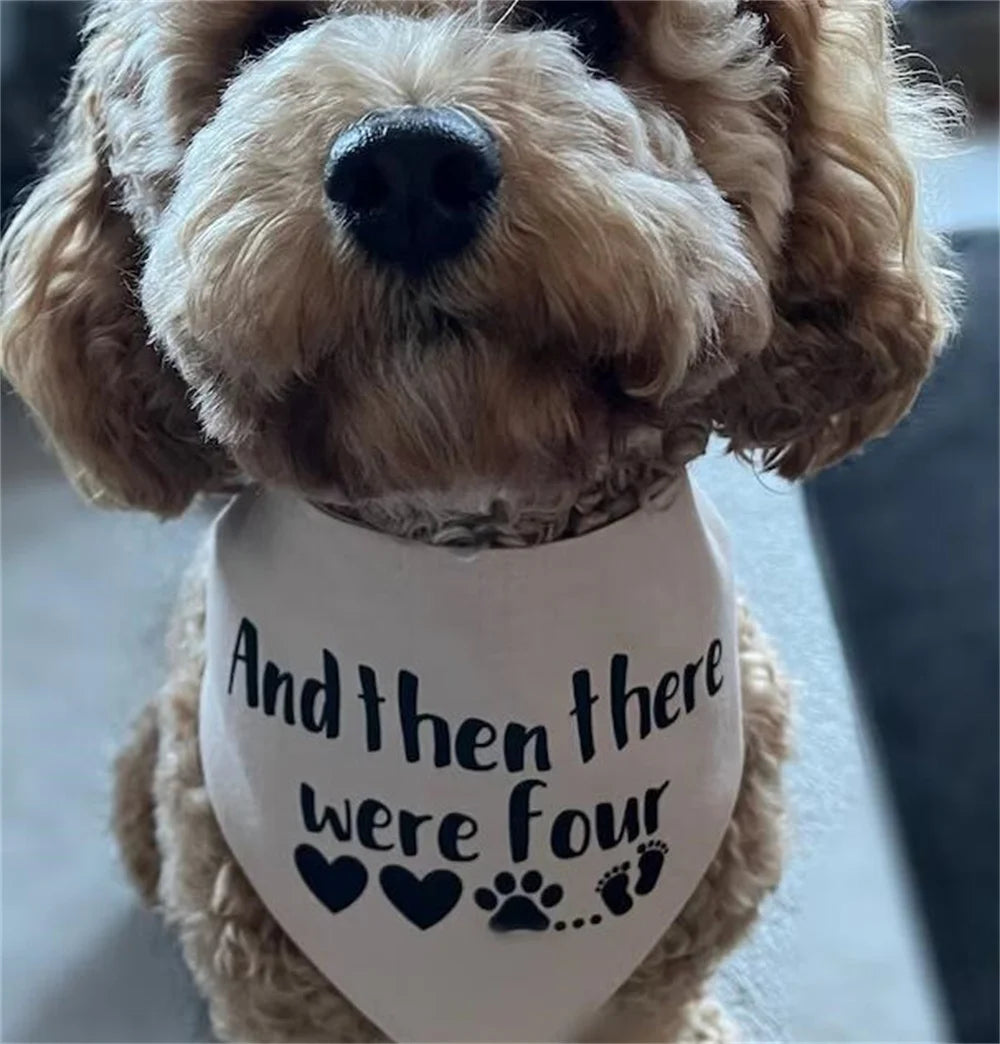 Baby Announcement Bandana