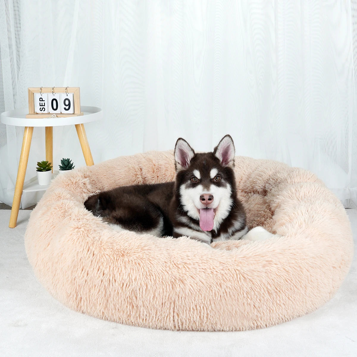 Large Round Donut Bed