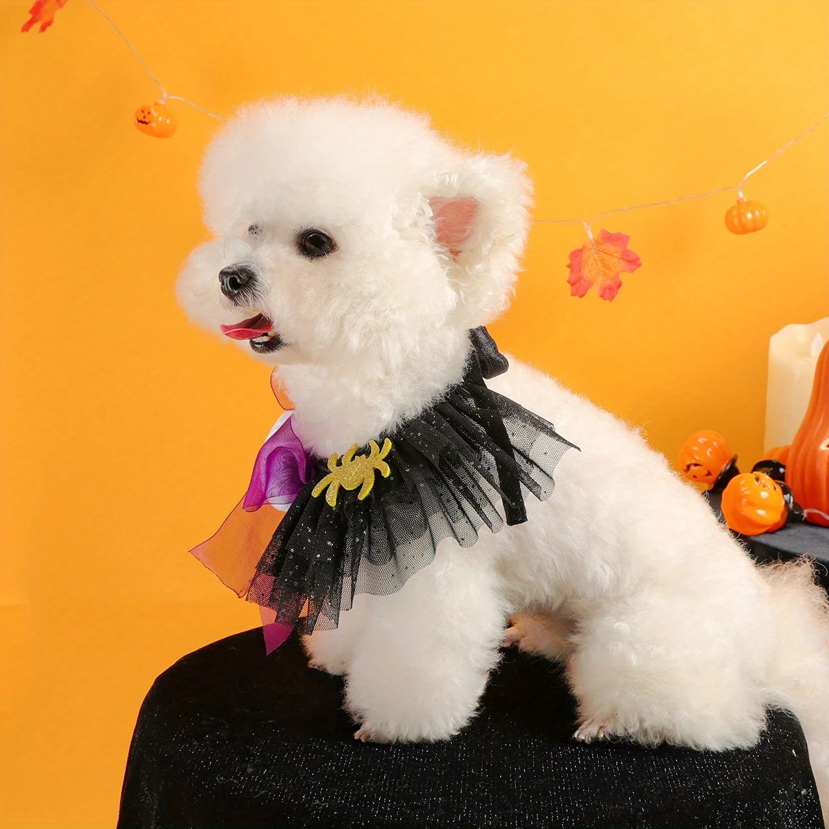 Halloween, Ghost Spider Gauze Scarf