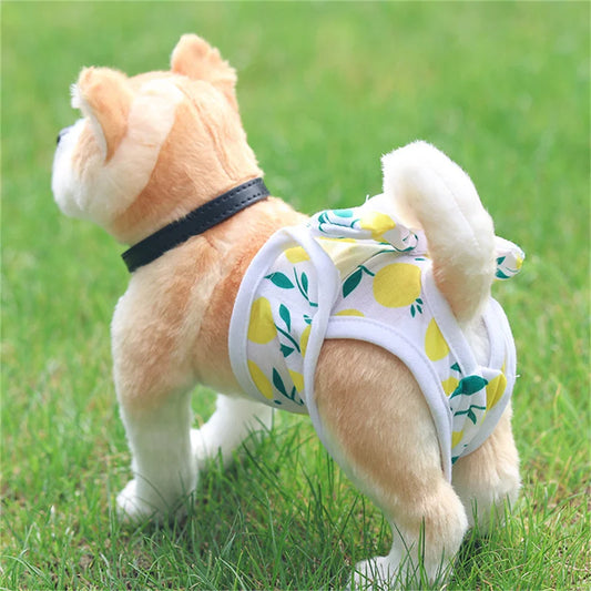 Reusable Diaper Pants