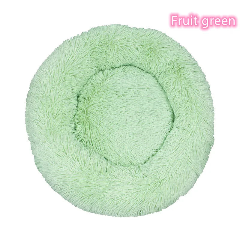 Super Soft Plush Bed