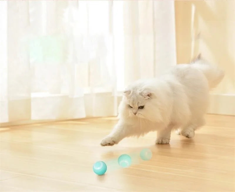 Smart Puppy Ball Toy