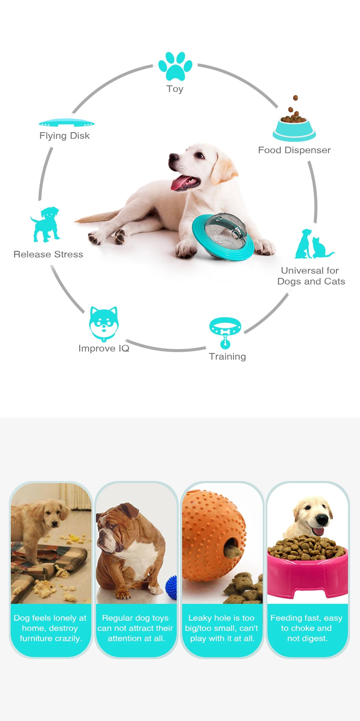 Feeder Toy