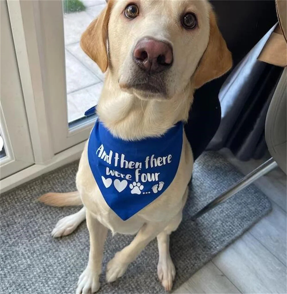 Baby Announcement Bandana