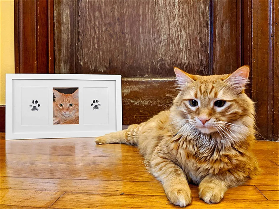 No-Touch Pet Paw Print