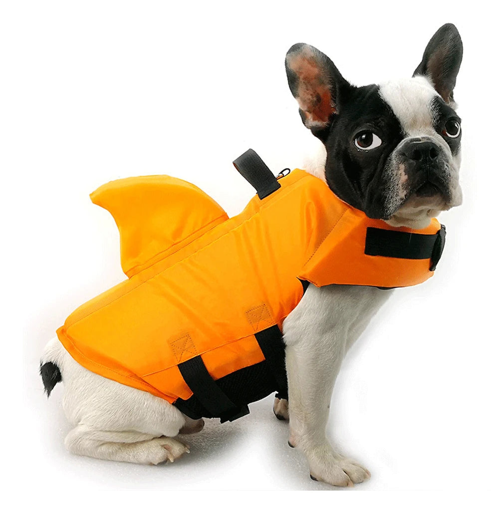 Shark Dog, Life Jacket